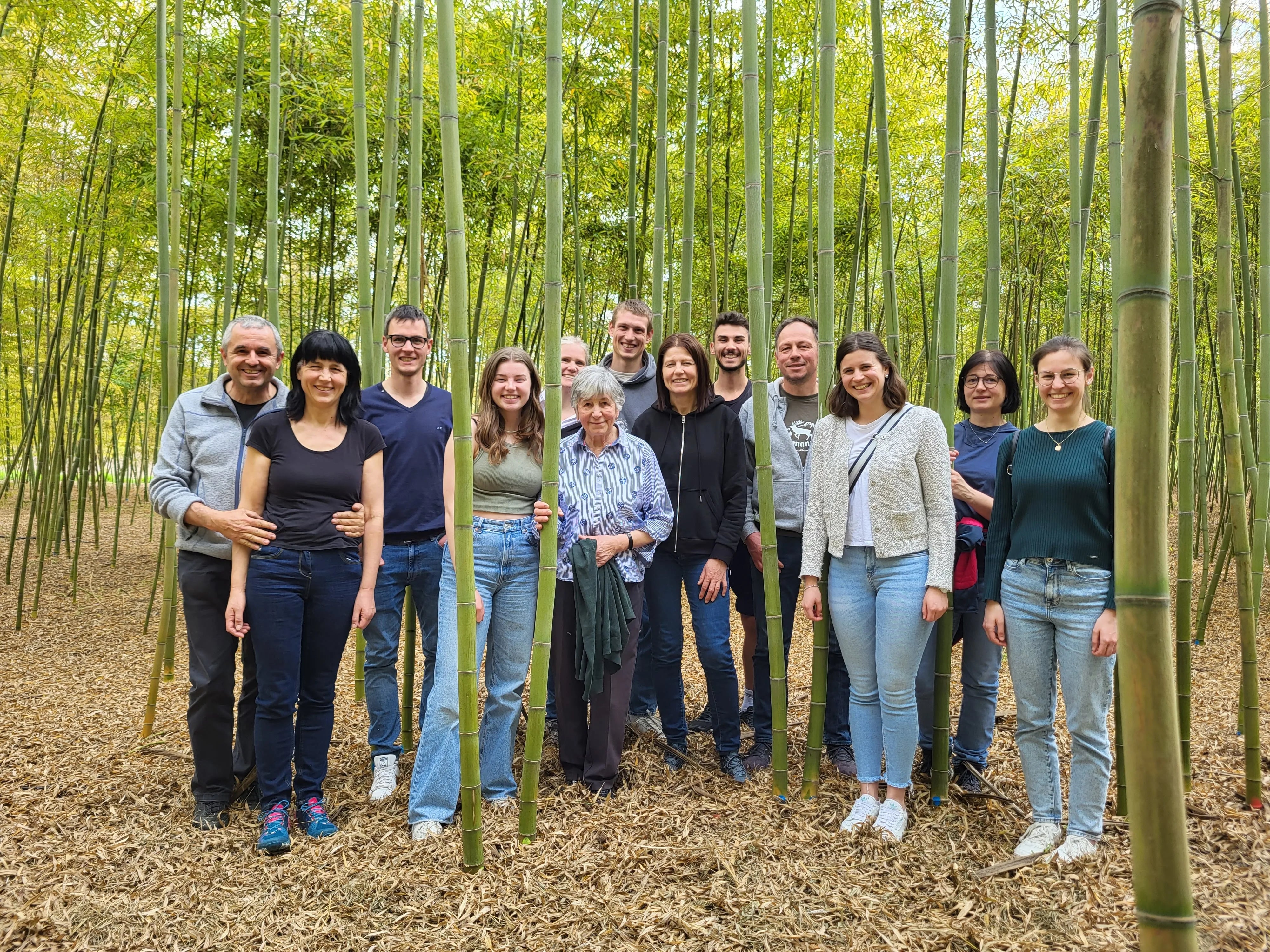 Visita guidata con gruppo nel bosco di bambù